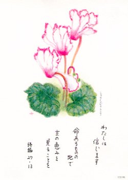 画像1: 花と祈りポストカード　シクラメンビクトリア （5枚組）