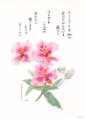 花と祈りポストカード　アルストロメリア（5枚組）