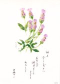 花と祈りポストカード　ラベンダー（5枚組）