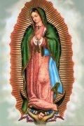 フィデスポストカード MADONNA GUADALUPE (5枚組) ※返品不可商品