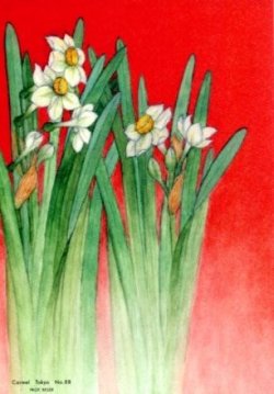 画像2: クリスマスカード　東京カルメル会