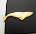 タイピン セミクジラ（金色）
