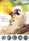 ひめくり　すずめ　いつもそばにいるよ！  ※返品不可商品