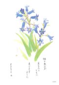 花と祈りポストカード　シラー （5枚組）