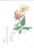 花と祈りポストカード　グロリオサ （5枚組）