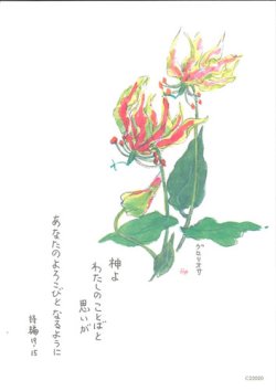 画像1: 花と祈りポストカード　グロリオサ （5枚組）