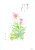 花と祈りポストカード　タマンゴ （5枚組）