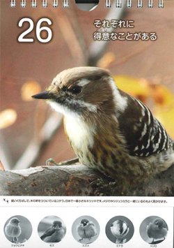 画像3: ひめくりすずめとなかまたち  ※返品不可商品