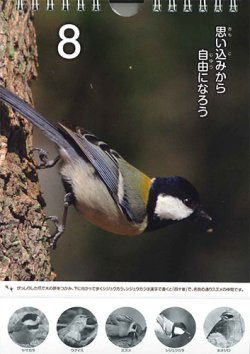 画像2: ひめくりすずめとなかまたち  ※返品不可商品