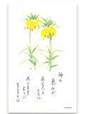 ミニカード 黄色の花（10枚セット） ※返品不可商品