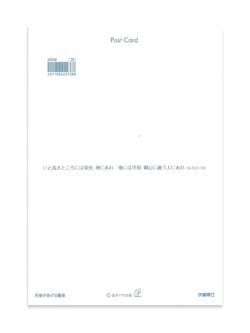 画像2: クリスマスポストカード 天使が告げる聖夜  2枚組  ※返品不可商品 