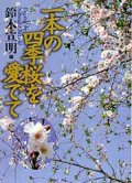 一本の四季桜を愛でて