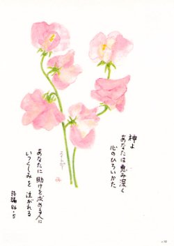 画像1: 花と祈りポストカード　スイトピー （5枚組）