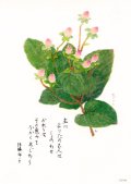 花と祈りポストカード　ヒペリカム （5枚組）