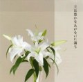 主は豊かなあがないに満ち 通夜、葬儀、命日祭の聖歌 [CD]　※お取り寄せ品