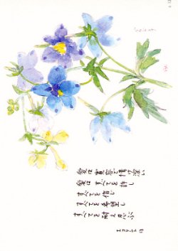 画像1: 花と祈りポストカード　ベラドンナ （5枚組）