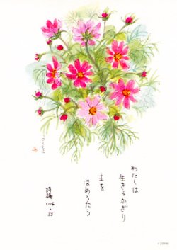 画像1: 花と祈りポストカード　コスモス （5枚組）