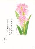 花と祈りポストカード　ヒヤシンス （5枚組）