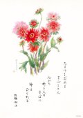 花と祈りポストカード　ガイラルディア （5枚組）