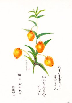 画像1: 花と祈りポストカード　サンダーソニア （5枚組）