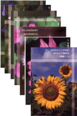 画像: 詩編のことばポストカードセットB（7枚入り）