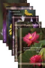 画像: 詩編のことばポストカードセットD（7枚入り）