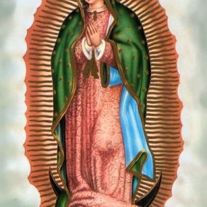 画像: フィデスポストカード MADONNA GUADALUPE (5枚組) ※返品不可商品