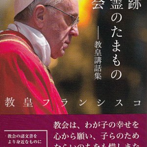 画像: 秘跡・聖霊のたまもの・教会――教皇講話集