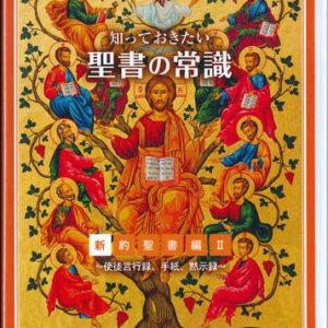 画像: 知っておきたい聖書の常識　新約聖書編 II　〜使徒言行録、手紙、黙示録〜 [DVD]