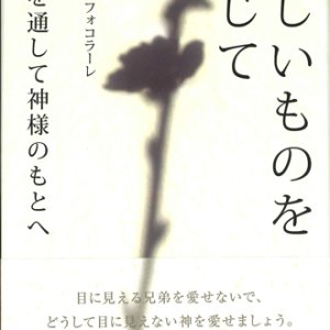 画像: 美しいものを信じて　兄弟たちを通して神様のもとへ