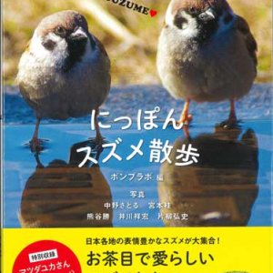 画像: にっぽんスズメ散歩 ※お取り寄せ品