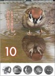 画像2: ひめくり　すずめ　いつもそばにいるよ！  ※返品不可商品