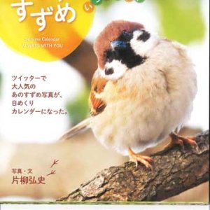 画像: ひめくり　すずめ　いつもそばにいるよ！  ※返品不可商品