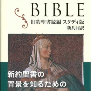 画像: 新共同訳 旧新約聖書続編 スタディ版　NI453DCSTUDY