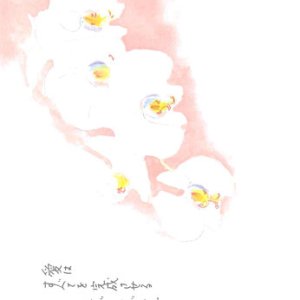 画像: 花と祈りポストカード　胡蝶蘭 （5枚組）