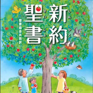 画像: 聖書協会共同訳 中型新約聖書 SI250 ※お取り寄せ品