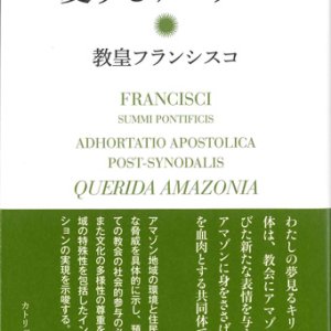 画像: 使徒的勧告　愛するアマゾン　