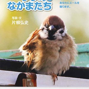 画像: ひめくりすずめとなかまたち ※返品不可商品