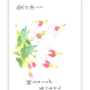 画像: ミニカード フクシア（10枚セット） ※返品不可商品