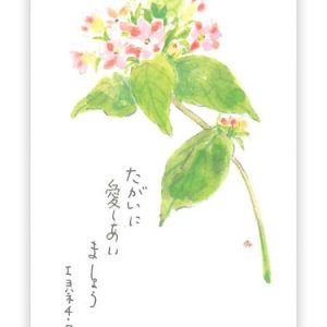 画像: ミニカード クササンダンカ（10枚セット） ※返品不可商品