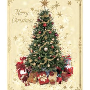 画像: クリスマスカード（聖句入り）S200-141 ※返品不可商品