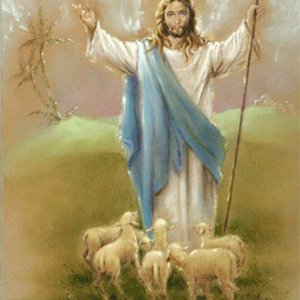 画像: 2つ折りカード よき牧者イエス ※返品不可商品