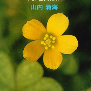画像: 信じること 愛すること 幸せにいきるために [僅少本]