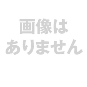 画像: 新共同訳 小型聖書/旧約続編つき［革装・黒］※お取り寄せ品