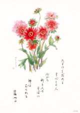 画像: 花と祈りポストカード　ガイラルディア （5枚組）