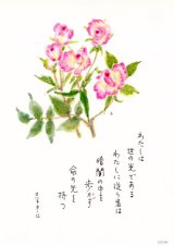 画像: 花と祈りポストカード　わたしは世の光（5枚組）