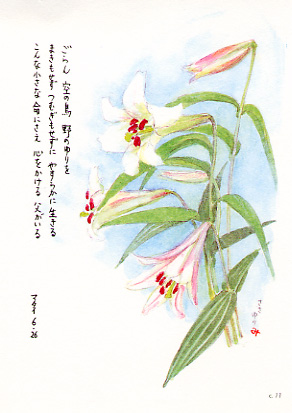 画像1: 花と祈りポストカード　ささゆり （5枚組）