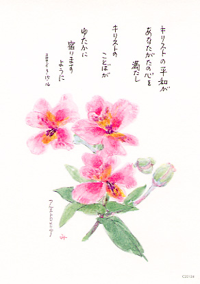 画像1: 花と祈りポストカード　アルストロメリア（5枚組）