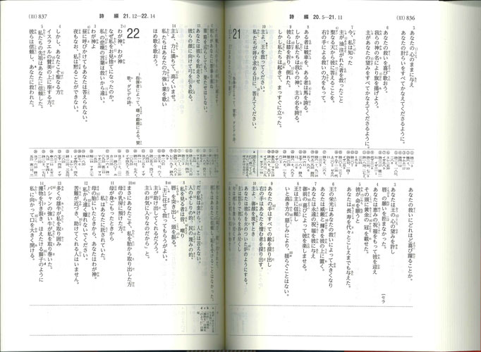 聖書 聖書協会共同訳 引照 注付き Sio43 パウルスショップ