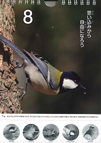 画像2: ひめくりすずめとなかまたち  ※返品不可商品